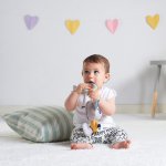 Jucarie muzicala Tiny Love Polar Wonders Husky Rob, 0 luni +, Multicolor