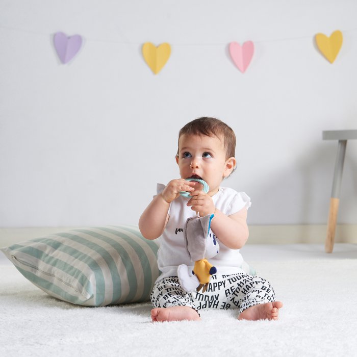 Jucarie muzicala Tiny Love Polar Wonders Husky Rob, 0 luni +, Multicolor